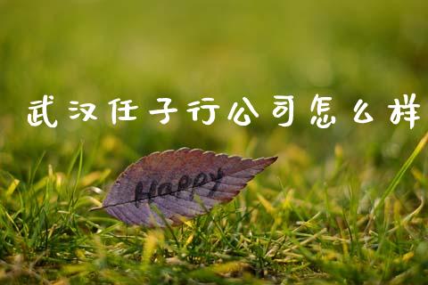 武汉任子行公司怎么样_https://www.lcjysmgs.com_黄金期货直播喊单_第1张