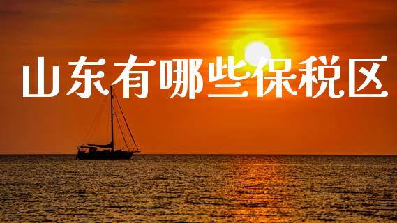 山东有哪些保税区_https://www.lcjysmgs.com_恒生指数直播_第1张