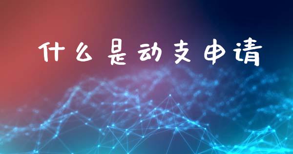 什么是动支申请_https://www.lcjysmgs.com_恒生指数直播_第1张