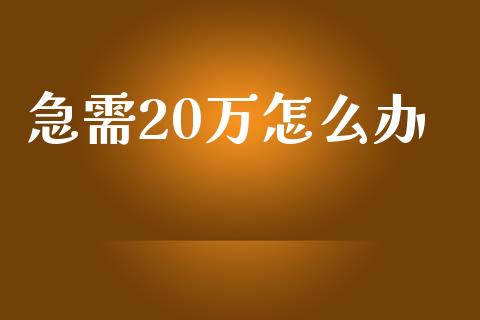 急需20万怎么办_https://www.lcjysmgs.com_恒指直播平台_第1张