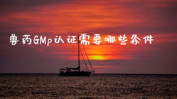 兽药GMp认证需要哪些条件_https://www.lcjysmgs.com_恒指直播平台_第1张