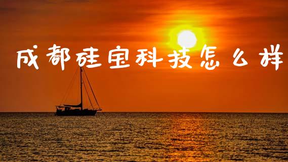 成都硅宝科技怎么样_https://www.lcjysmgs.com_恒生指数直播_第1张