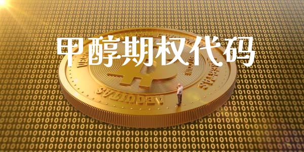 甲醇期权代码_https://www.lcjysmgs.com_黄金期货直播喊单_第1张