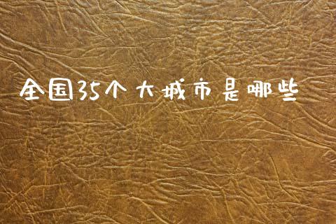 全国35个大城市是哪些_https://www.lcjysmgs.com_黄金期货直播喊单_第1张