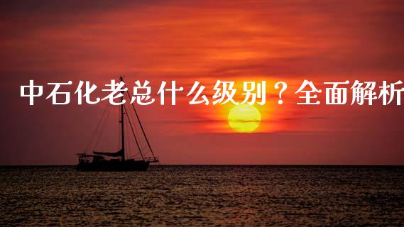 中石化老总什么级别？全面解析_https://www.lcjysmgs.com_恒指直播平台_第1张