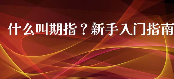 什么叫期指？新手入门指南_https://www.lcjysmgs.com_恒生指数直播_第1张