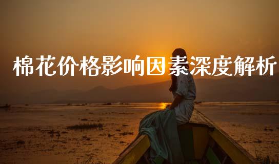 棉花价格影响因素深度解析_https://www.lcjysmgs.com_恒生指数直播_第1张