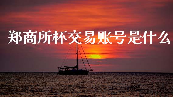 郑商所杯交易账号是什么_https://www.lcjysmgs.com_德指行情直播_第1张