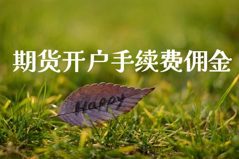 期货开户手续费佣金_https://www.lcjysmgs.com_黄金期货直播喊单_第1张