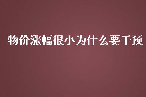 物价涨幅很小为什么要干预_https://www.lcjysmgs.com_恒指直播平台_第1张