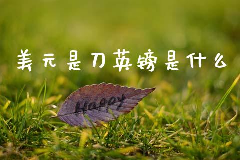 美元是刀英镑是什么_https://www.lcjysmgs.com_黄金期货直播喊单_第1张