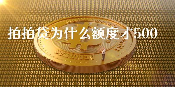 拍拍贷为什么额度才500_https://www.lcjysmgs.com_德指行情直播_第1张