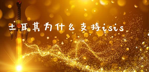土耳其为什么支持isis_https://www.lcjysmgs.com_黄金期货直播喊单_第1张