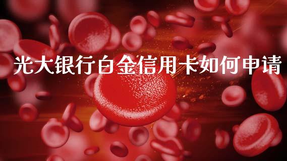 光大银行白金信用卡如何申请_https://www.lcjysmgs.com_德指行情直播_第1张