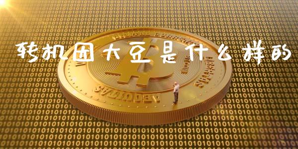 转机因大豆是什么样的_https://www.lcjysmgs.com_黄金期货直播喊单_第1张