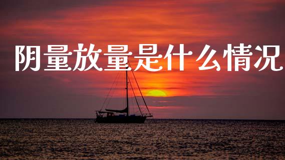 阴量放量是什么情况_https://www.lcjysmgs.com_德指行情直播_第1张