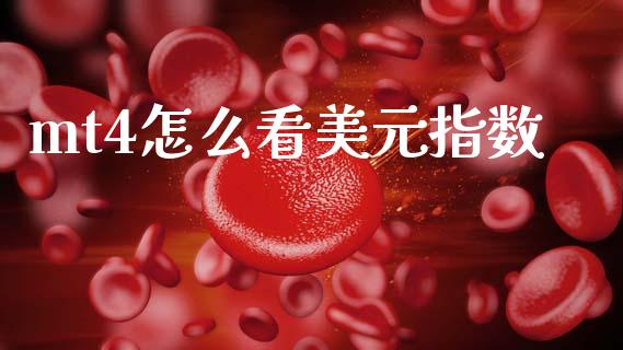 mt4怎么看美元指数_https://www.lcjysmgs.com_恒指直播平台_第1张