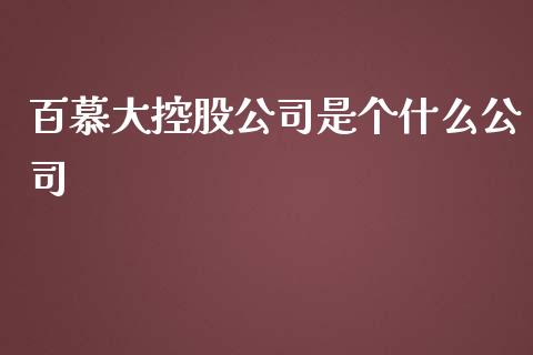 百慕大控股公司是个什么公司_https://www.lcjysmgs.com_恒指直播平台_第1张