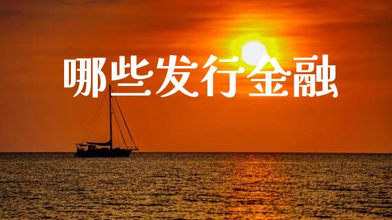 哪些发行金融_https://www.lcjysmgs.com_德指行情直播_第1张