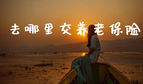 去哪里交养老保险_https://www.lcjysmgs.com_德指行情直播_第1张