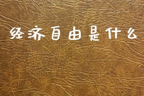 经济自由是什么_https://www.lcjysmgs.com_德指行情直播_第1张