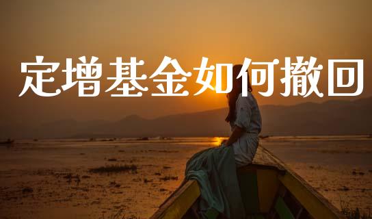 定增基金如何撤回_https://www.lcjysmgs.com_德指行情直播_第1张
