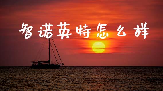 智诺英特怎么样_https://www.lcjysmgs.com_黄金期货直播喊单_第1张