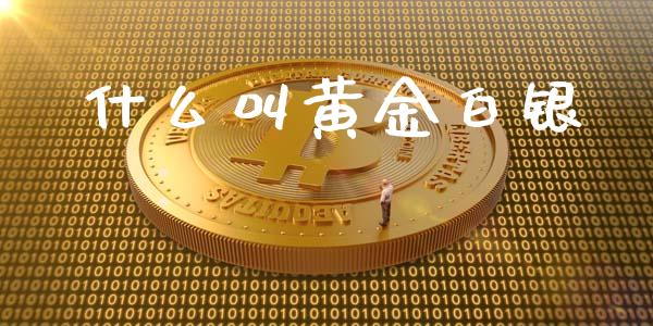 什么叫黄金白银_https://www.lcjysmgs.com_恒指直播平台_第1张