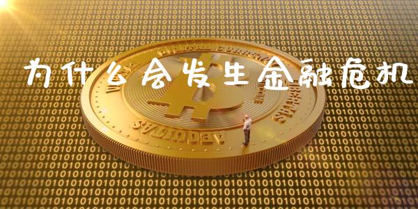 为什么会发生金融危机_https://www.lcjysmgs.com_德指行情直播_第1张