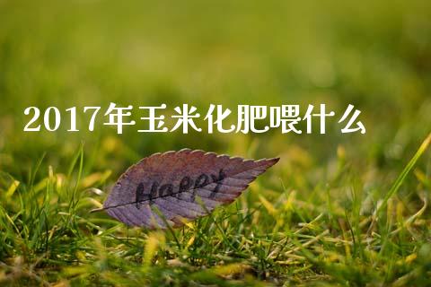 2017年玉米化肥喂什么_https://www.lcjysmgs.com_黄金期货直播喊单_第1张