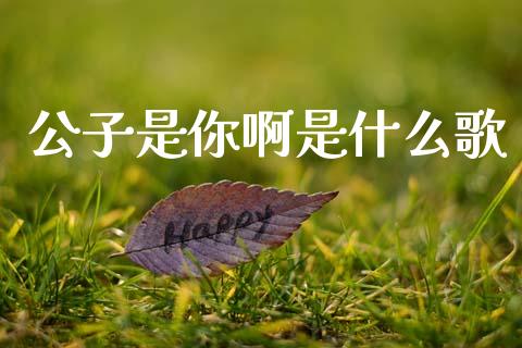 公子是你啊是什么歌_https://www.lcjysmgs.com_黄金期货直播喊单_第1张