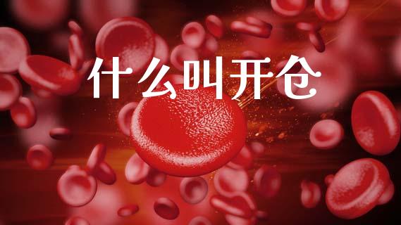 什么叫开仓_https://www.lcjysmgs.com_黄金期货直播喊单_第1张