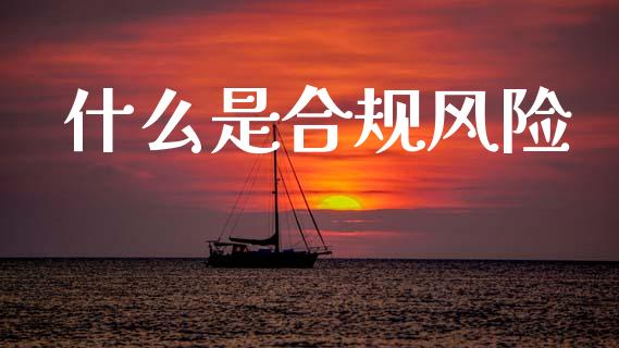 什么是合规风险_https://www.lcjysmgs.com_德指行情直播_第1张