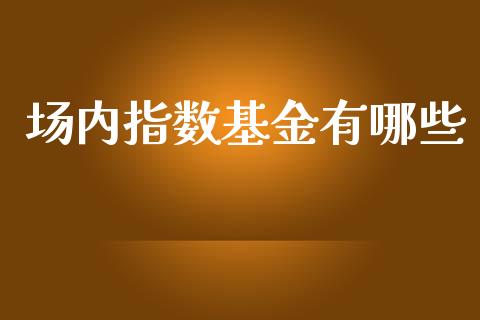 场内指数基金有哪些_https://www.lcjysmgs.com_黄金期货直播喊单_第1张