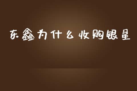 东鑫为什么收购银星_https://www.lcjysmgs.com_恒生指数直播_第1张