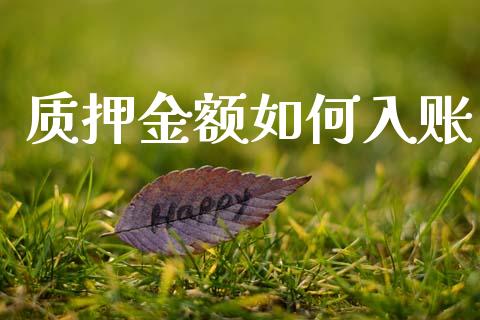质押金额如何入账_https://www.lcjysmgs.com_黄金期货直播喊单_第1张