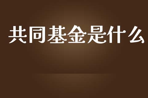 共同基金是什么_德指行情直播_第1张_恒生指数直播_恒指直播平台_德指行情直播_黄金期货直播喊单 共同基金是什么_https://www.lcjysmgs.com_德指行情直播_第1张
