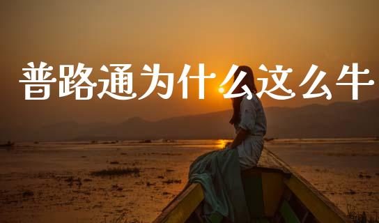 普路通为什么这么牛_https://www.lcjysmgs.com_恒指直播平台_第1张