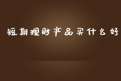 短期理财产品买什么好_https://www.lcjysmgs.com_恒生指数直播_第1张
