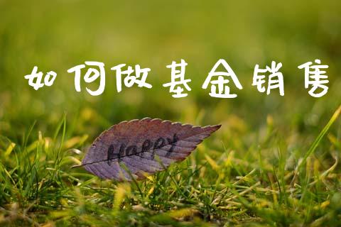 如何做基金销售_https://www.lcjysmgs.com_恒指直播平台_第1张