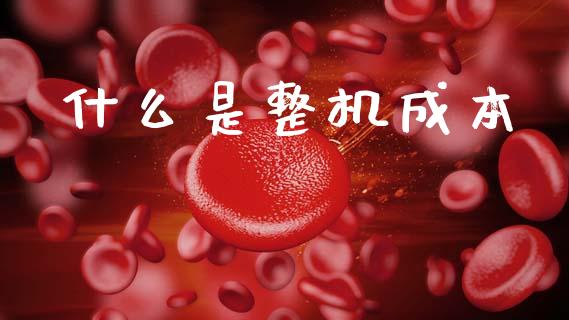 什么是整机成本_https://www.lcjysmgs.com_黄金期货直播喊单_第1张