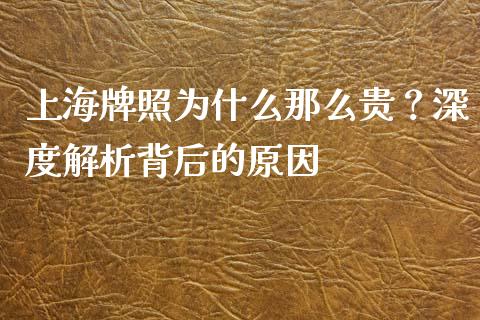 上海牌照为什么那么贵？深度解析背后的原因_https://www.lcjysmgs.com_恒生指数直播_第1张
