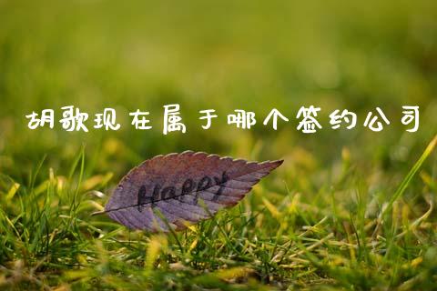 胡歌现在属于哪个签约公司_https://www.lcjysmgs.com_恒生指数直播_第1张