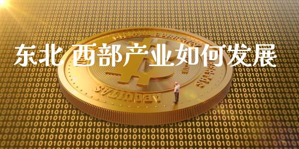 东北 西部产业如何发展_https://www.lcjysmgs.com_恒生指数直播_第1张