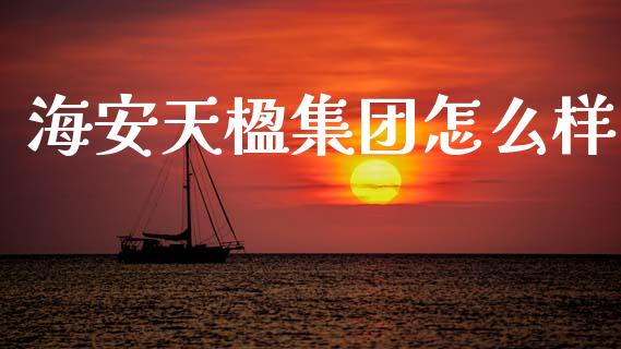 海安天楹集团怎么样_https://www.lcjysmgs.com_黄金期货直播喊单_第1张