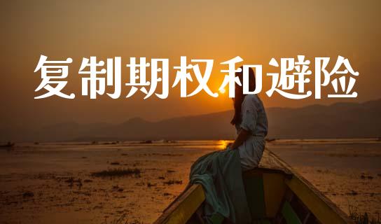 复制期权和避险_https://www.lcjysmgs.com_黄金期货直播喊单_第1张