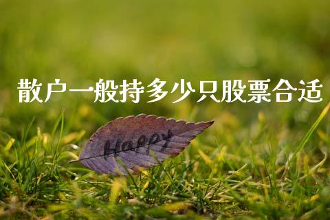 散户一般持多少只股票合适_https://www.lcjysmgs.com_恒指直播平台_第1张