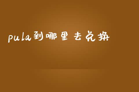 pula到哪里去兑换_https://www.lcjysmgs.com_恒生指数直播_第1张