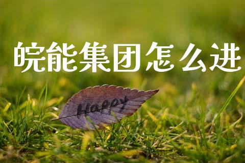 皖能集团怎么进_https://www.lcjysmgs.com_恒指直播平台_第1张