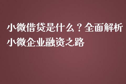 小微借贷是什么？全面解析小微企业融资之路_https://www.lcjysmgs.com_恒生指数直播_第1张